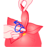 Rose shaped gift wrap step 3