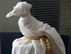 Long-tailed bird using napkin